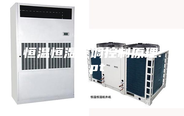 恒溫恒濕空調控制原理.ppt