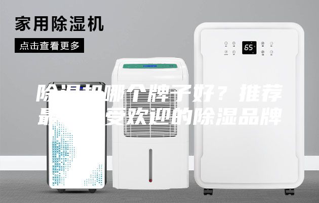 除濕機(jī)哪個牌子好？推薦最新最受歡迎的除濕品牌