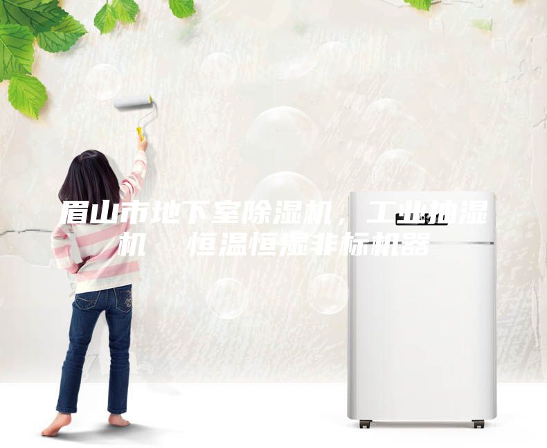 眉山市地下室除濕機，工業抽濕機  恒溫恒濕非標機器