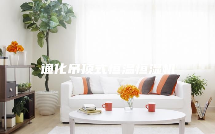 通化吊頂式恒溫恒濕機