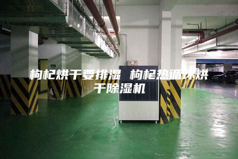 枸杞烘干要排濕 枸杞熱循環(huán)烘干除濕機