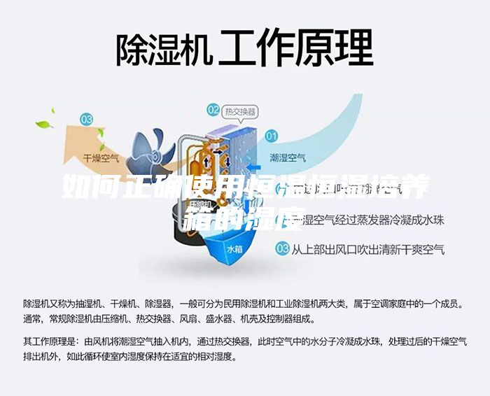 如何正確使用恒溫恒濕培養箱的濕度