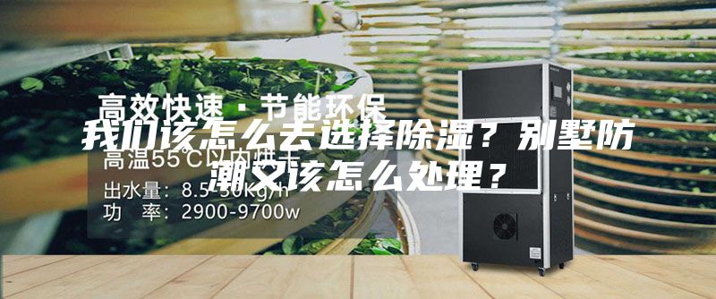 我們該怎么去選擇除濕？別墅防潮又該怎么處理？