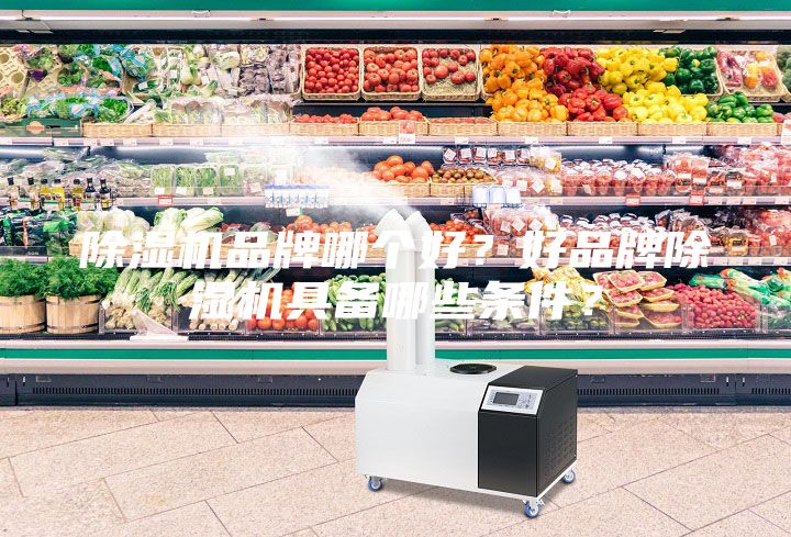除濕機品牌哪個好？好品牌除濕機具備哪些條件？