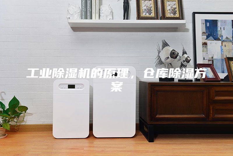 工業除濕機的原理，倉庫除濕方案