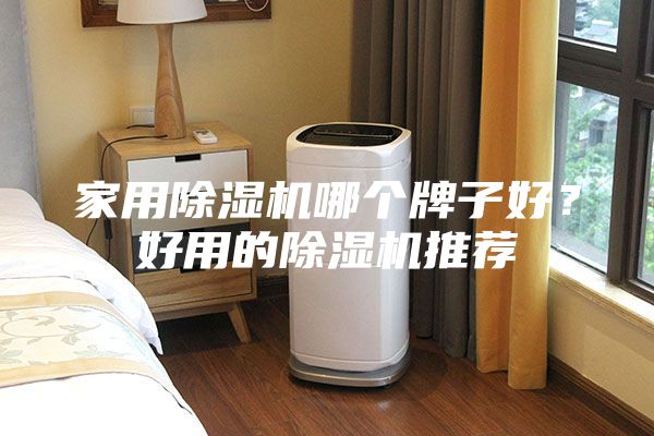 家用除濕機哪個牌子好？好用的除濕機推薦