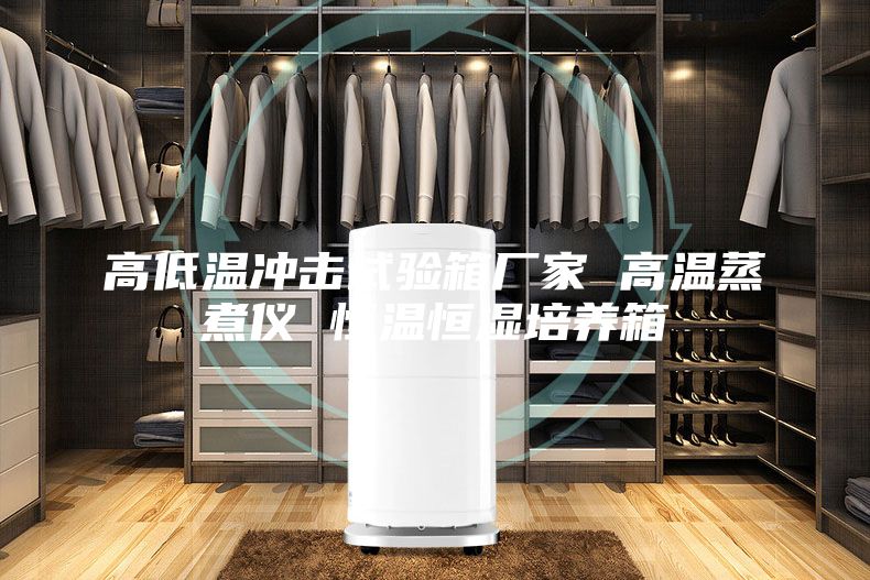 高低溫沖擊試驗箱廠家 高溫蒸煮儀 恒溫恒濕培養箱