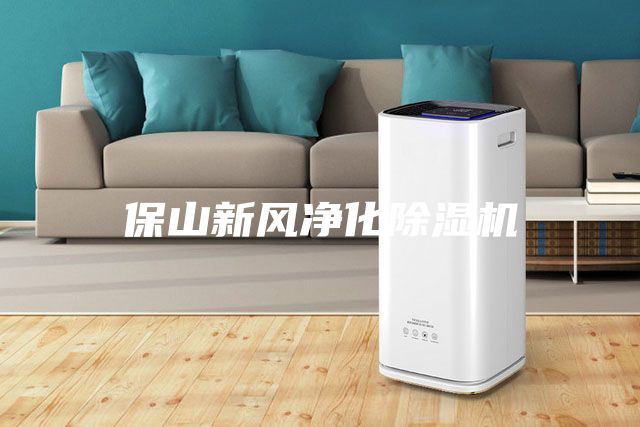 保山新風凈化除濕機