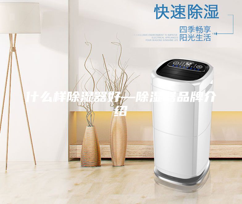 什么樣除濕器好—除濕器品牌介紹