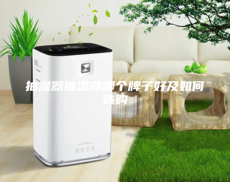 抽濕器抽濕器哪個(gè)牌子好及如何選購