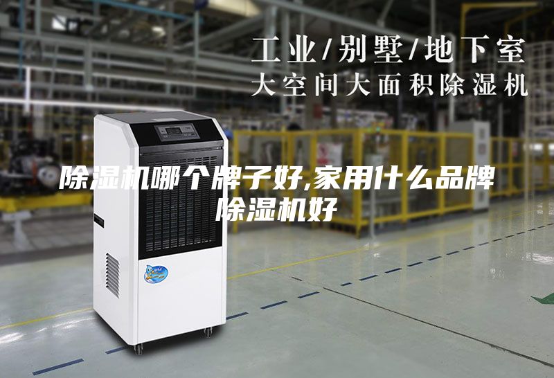 除濕機哪個牌子好,家用什么品牌除濕機好