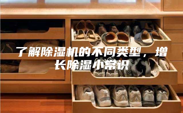 了解除濕機的不同類型，增長除濕小常識