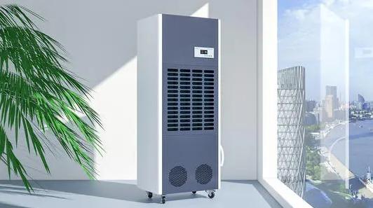 難見太陽，南方潮濕，使用除濕機