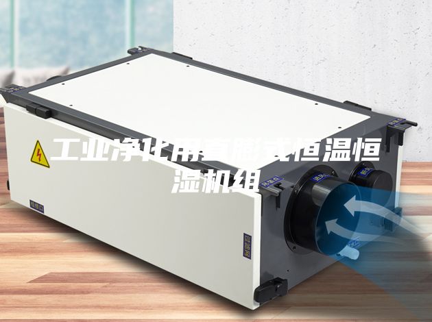 工業(yè)凈化用直膨式恒溫恒濕機組