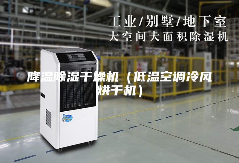 降溫除濕干燥機（低溫空調冷風烘干機）