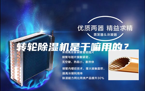 轉(zhuǎn)輪除濕機(jī)是干嘛用的？