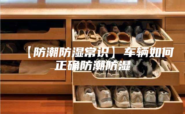 【防潮防濕常識】車輛如何正確防潮防濕