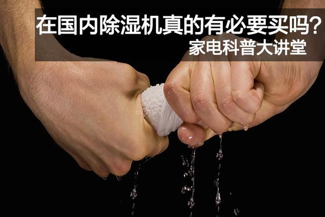 除濕機這樣選，抵御濕氣侵襲