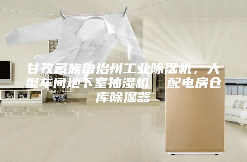 甘孜藏族自治州工業(yè)除濕機，大型車間地下室抽濕機  配電房倉庫除濕器