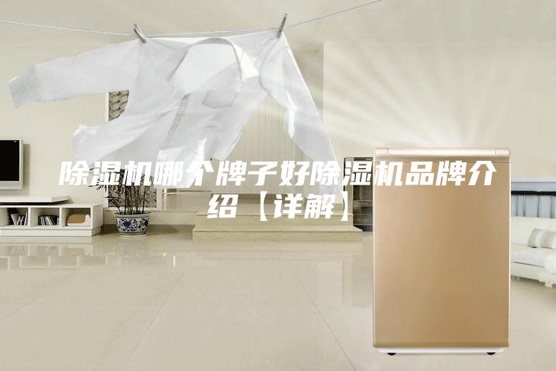 除濕機哪個牌子好除濕機品牌介紹【詳解】