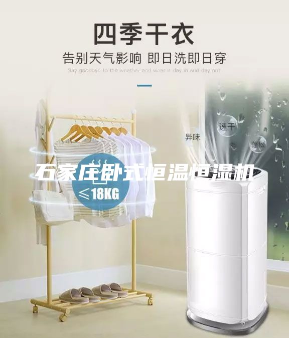 石家莊臥式恒溫恒濕機(jī)