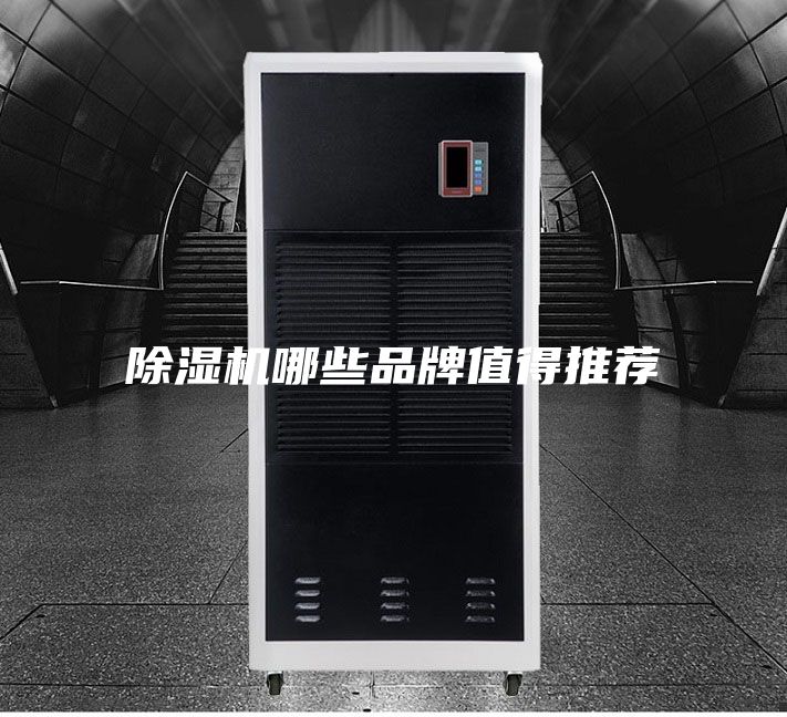 除濕機(jī)哪些品牌值得推薦