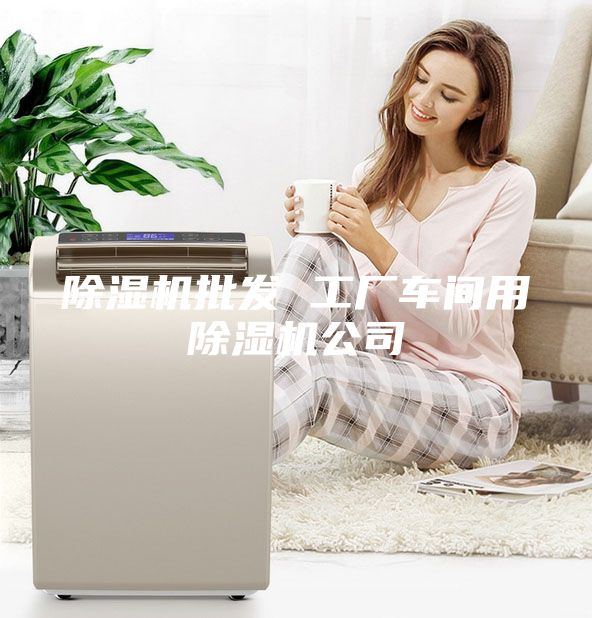 除濕機批發(fā) 工廠車間用除濕機公司