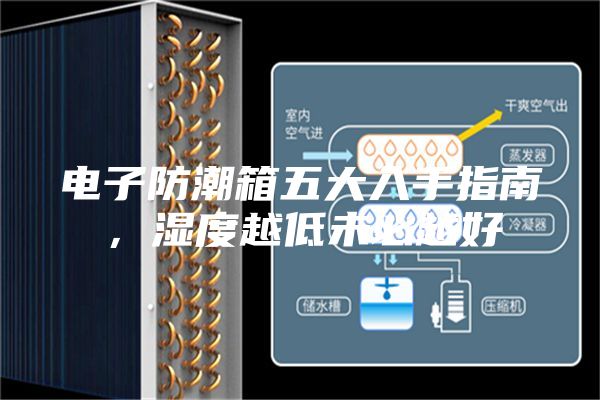 電子防潮箱五大入手指南，濕度越低未必越好