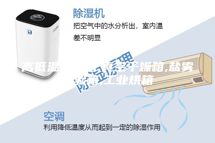 高低溫試驗(yàn)箱,真空干燥箱,鹽霧試驗(yàn)箱,工業(yè)烘箱