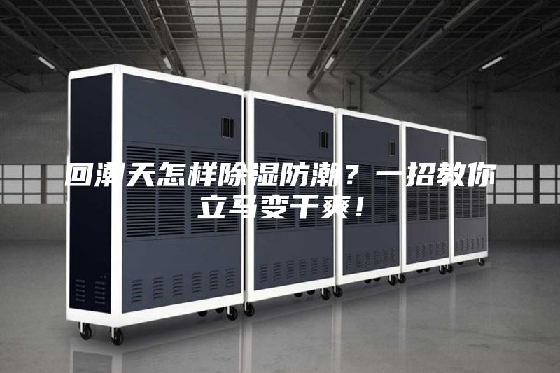 回潮天怎樣除濕防潮？一招教你立馬變干爽！