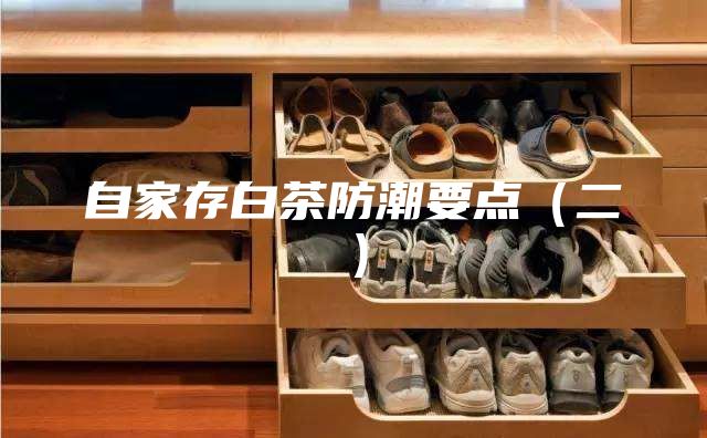 自家存白茶防潮要點(diǎn)（二）