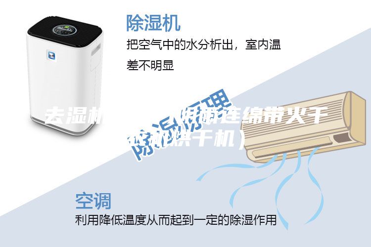 去濕機（南方陰雨連綿帶火干衣機烘干機）