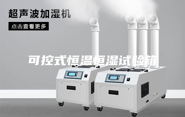 可控式恒溫恒濕試驗(yàn)箱